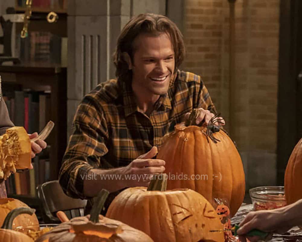 I screenshotted my way through 15.14 Las Holiday where Sam and Dean and Jack and the scary bad lady are carving pumpkins and I never saw the shot of Sam smiling we got in the previews BUT IT'S STILL CANON DAMMIT. :-D